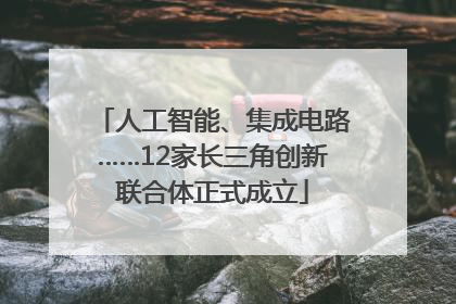 人工智能、集成电路……12家长三角创新联合体正式成立