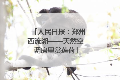 人民日报：郑州西流湖——天然空调房里赏莲荷