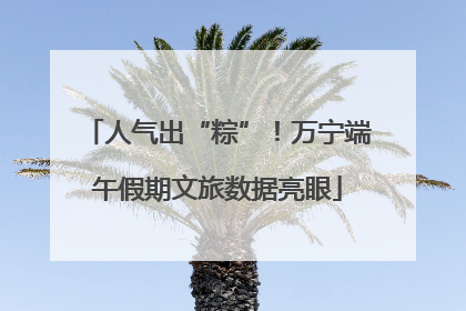 人气出“粽”！万宁端午假期文旅数据亮眼