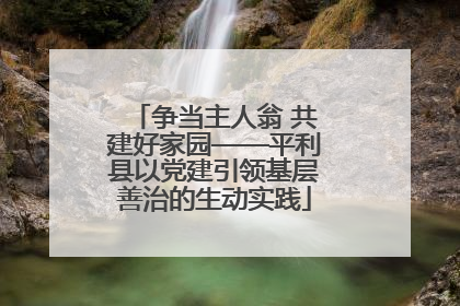 争当主人翁 共建好家园——平利县以党建引领基层善治的生动实践