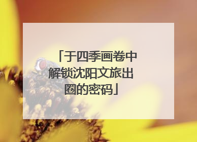 于四季画卷中解锁沈阳文旅出圈的密码