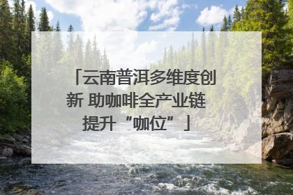 云南普洱多维度创新 助咖啡全产业链提升“咖位”