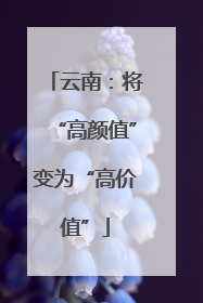 云南：将“高颜值”变为“高价值”