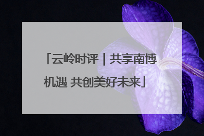 云岭时评｜共享南博机遇 共创美好未来
