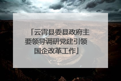 云霄县委县政府主要领导调研党建引领国企改革工作