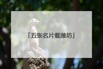五张名片看潍坊