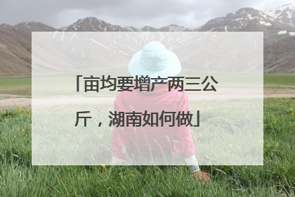 亩均要增产两三公斤，湖南如何做
