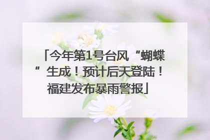 今年第1号台风“蝴蝶”生成！预计后天登陆！福建发布暴雨警报