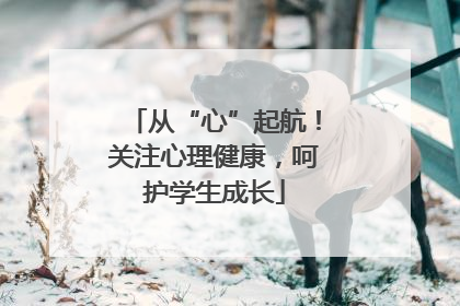 从“心”起航！关注心理健康，呵护学生成长