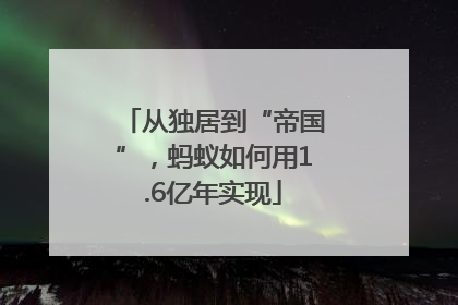 从独居到“帝国”，蚂蚁如何用1.6亿年实现