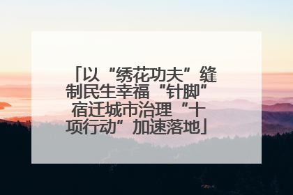 以“绣花功夫”缝制民生幸福“针脚” 宿迁城市治理“十项行动”加速落地