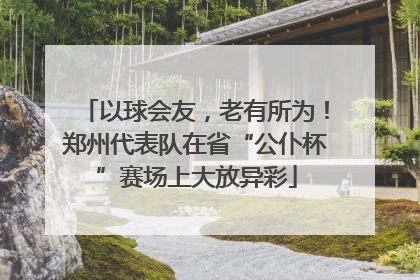 以球会友，老有所为！郑州代表队在省“公仆杯”赛场上大放异彩