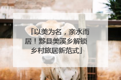 以美为名，亲水而居！黟县美溪乡解锁乡村旅居新范式