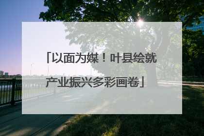 以面为媒！叶县绘就产业振兴多彩画卷