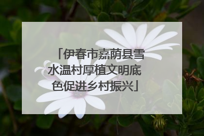伊春市嘉荫县雪水温村厚植文明底色促进乡村振兴