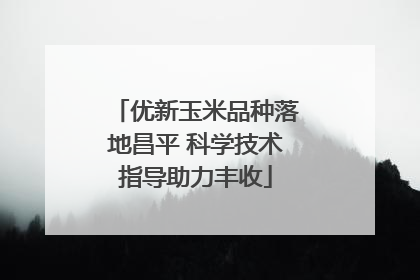优新玉米品种落地昌平 科学技术指导助力丰收