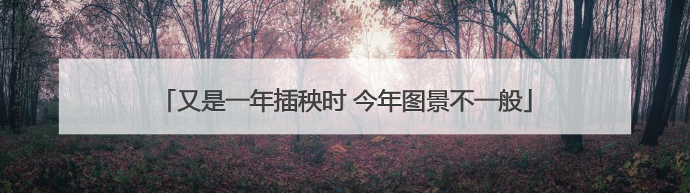 又是一年插秧时 今年图景不一般