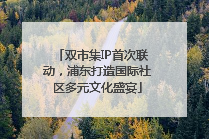 双市集IP首次联动，浦东打造国际社区多元文化盛宴
