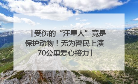 受伤的“汪星人”竟是保护动物！无为警民上演70公里爱心接力