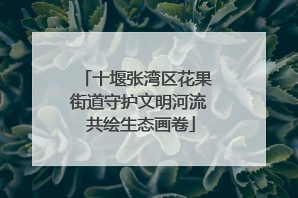 十堰张湾区花果街道守护文明河流 共绘生态画卷