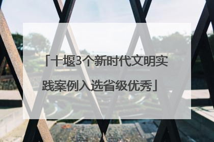十堰3个新时代文明实践案例入选省级优秀