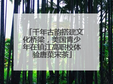 千年古韵搭建文化桥梁，美国青少年在镇江高职校体验唐菓宋茶