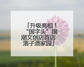 升级亮相！“国字头”国潮文创店首店落子潘家园