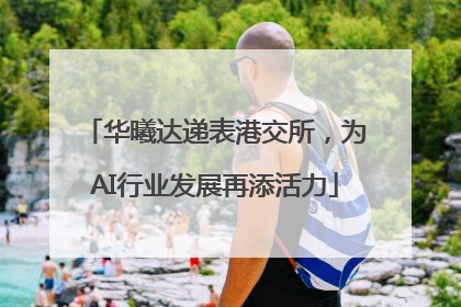 华曦达递表港交所，为AI行业发展再添活力