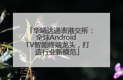 华曦达递表港交所：全球Android TV智能终端龙头，打造行业新模范