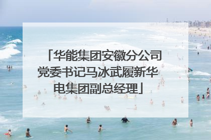 华能集团安徽分公司党委书记马冰武履新华电集团副总经理