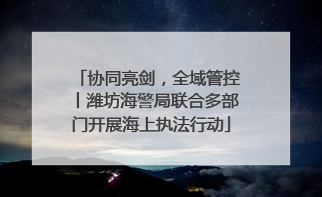 协同亮剑，全域管控丨潍坊海警局联合多部门开展海上执法行动