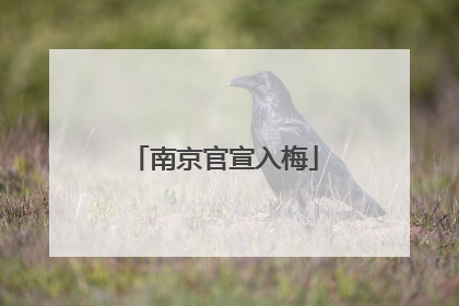 南京官宣入梅