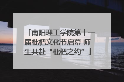 南阳理工学院第十一届枇杷文化节启幕 师生共赴“枇杷之约”