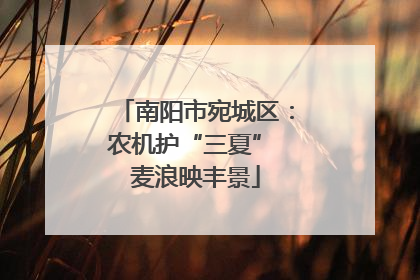 南阳市宛城区：农机护“三夏” 麦浪映丰景