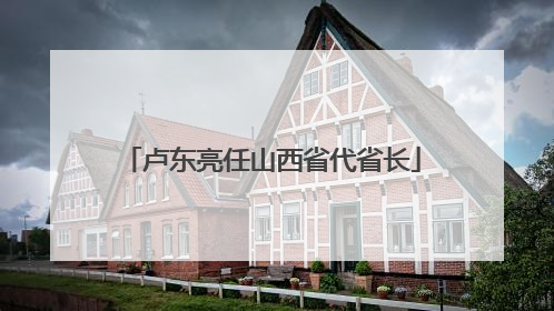 卢东亮任山西省代省长