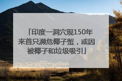 印度一洞穴现150年来首只濒危椰子蟹，或因被椰子和垃圾吸引