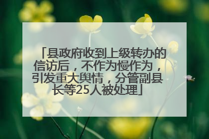 县政府收到上级转办的信访后，不作为慢作为，引发重大舆情，分管副县长等25人被处理