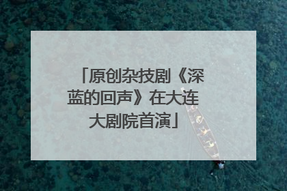 原创杂技剧《深蓝的回声》在大连大剧院首演