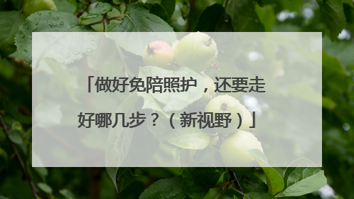 做好免陪照护，还要走好哪几步？（新视野）