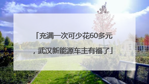 充满一次可少花60多元，武汉新能源车主有福了