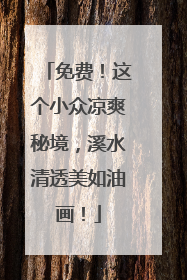 免费！这个小众凉爽秘境，溪水清透美如油画！