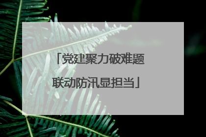 党建聚力破难题 联动防汛显担当