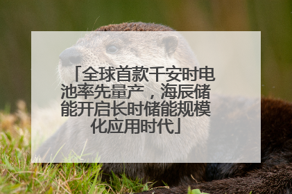全球首款千安时电池率先量产，海辰储能开启长时储能规模化应用时代