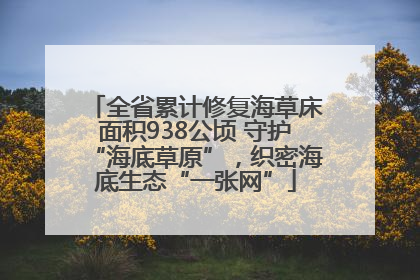 全省累计修复海草床面积938公顷 守护“海底草原”，织密海底生态“一张网”