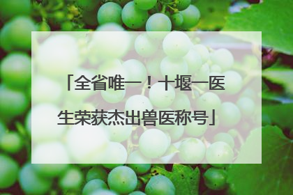 全省唯一！十堰一医生荣获杰出兽医称号