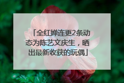 全红婵连更2条动态为陈艺文庆生，晒出最新收获的玩偶