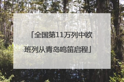 全国第11万列中欧班列从青岛鸣笛启程