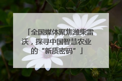 全国媒体聚焦潍柴雷沃，探寻中国智慧农业的“新质密码”