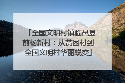 全国文明村镇临邑县前杨新村：从贫困村到全国文明村华丽蜕变