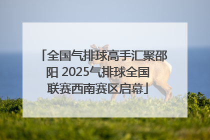 全国气排球高手汇聚邵阳 2025气排球全国联赛西南赛区启幕